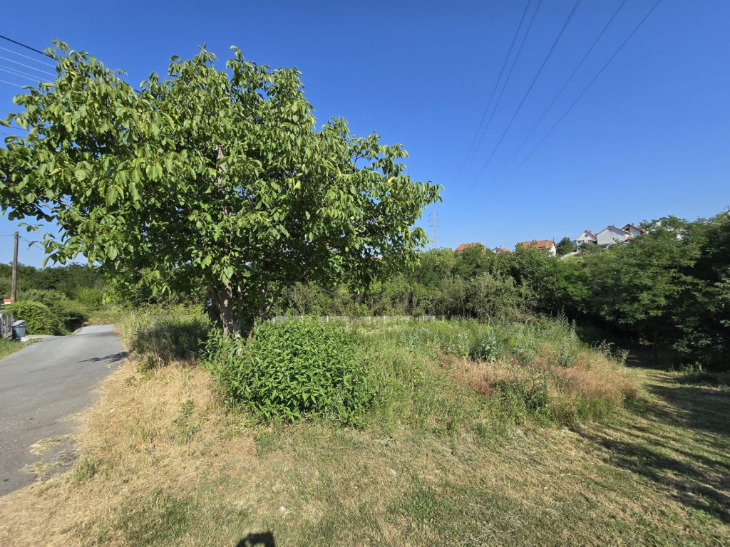 Plac na Đikinom brdu, do 5 ari, pored puta, drvo i bandera na vrhu placa. Zarasla trava