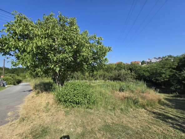 Plac na Đikinom brdu, do 5 ari, pored puta, drvo i bandera na vrhu placa. Zarasla trava