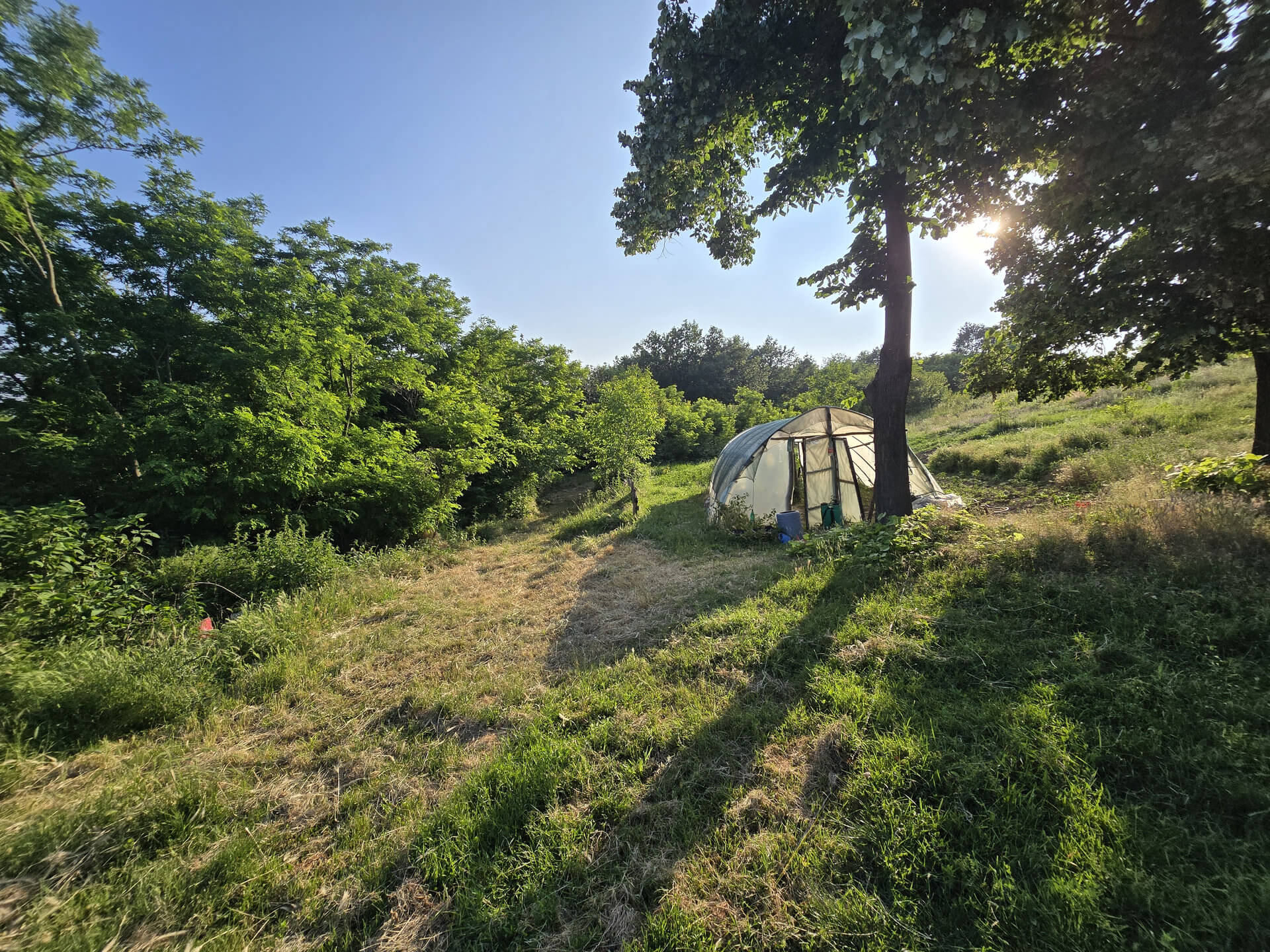 Plastenik