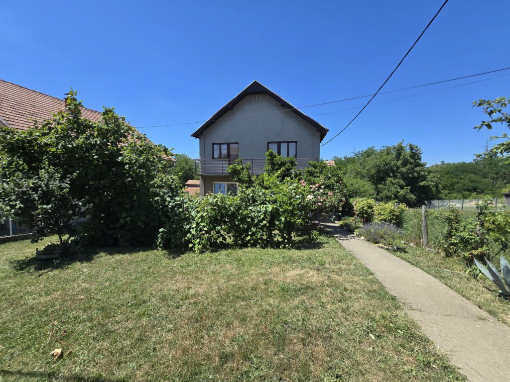 Kuća sa dvorištem i dosta zelenila, betonska staza koja vodi od kapije do ulaza
