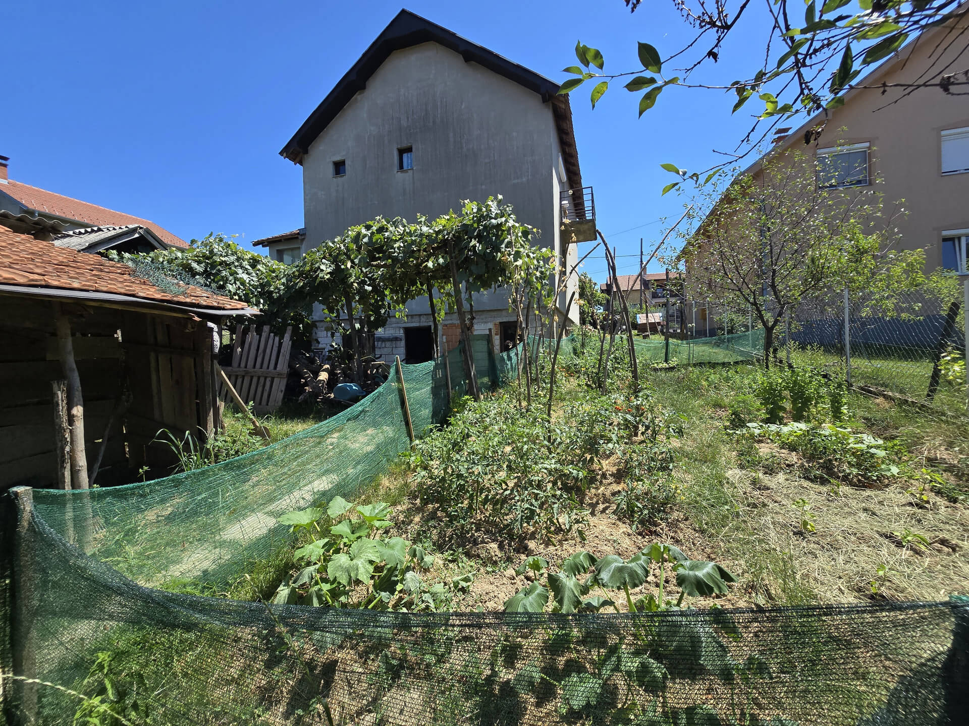 Bašta u zadnjem dvorištu i pomoćni objekat