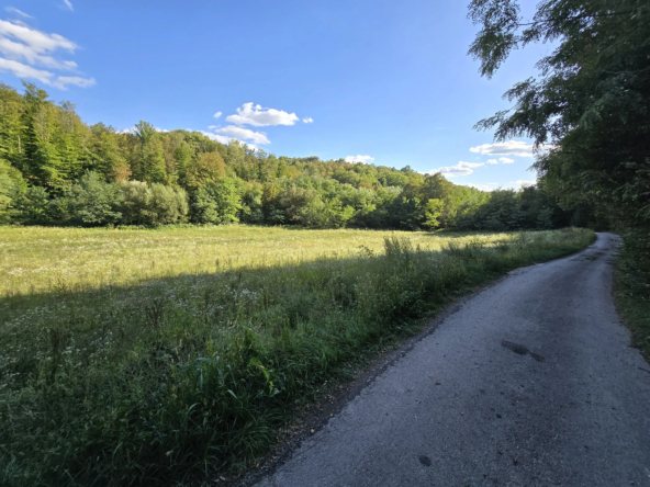 Zemljište pored puta u selu Garaši, površine 1 ha