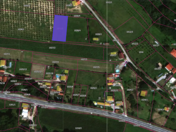 Plac u Progoreocima 12 ari